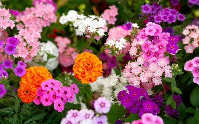 Compost Nigel Farr Farm Services Livestock handling equipment