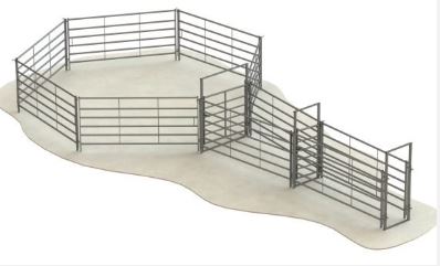Portable cattle handling