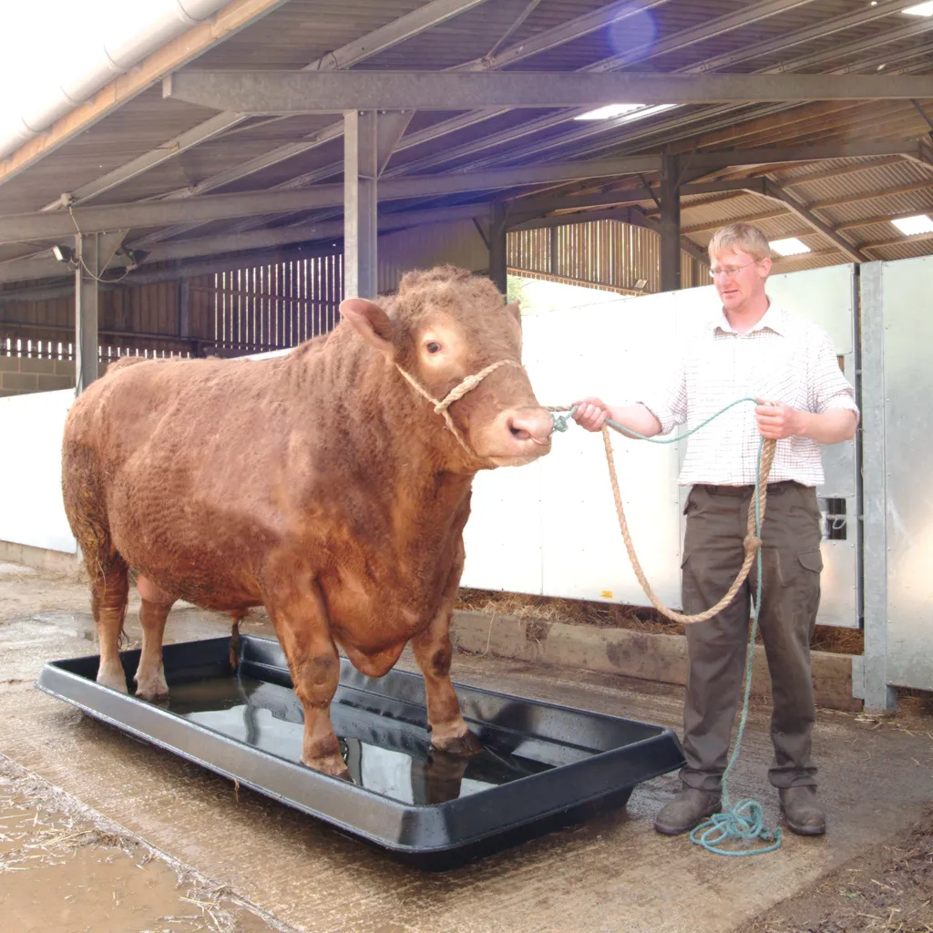 Agricultural Store in Telford Nigel Farr Farm Services Bull