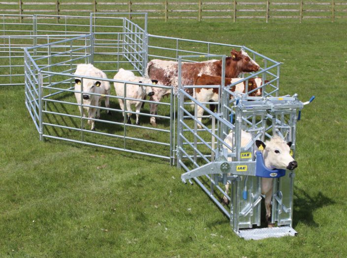 Farming Equipment in Telford Cattle Gate 
