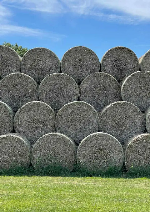 Crop netting