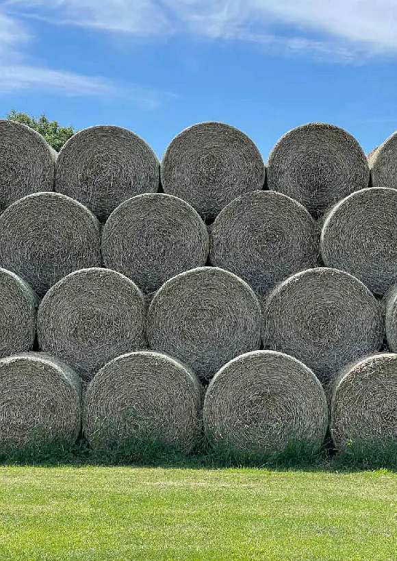 baling twine info