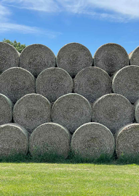 Animal Feed shop Near Me Nigel Farr Farm Services Pig Feeding Concrete Trough