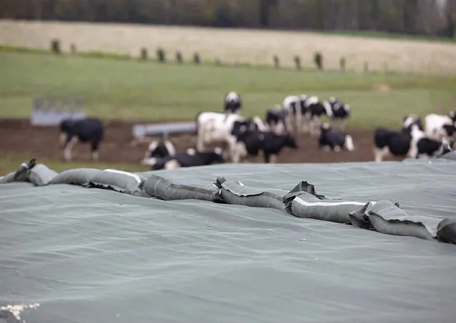 Crop netting