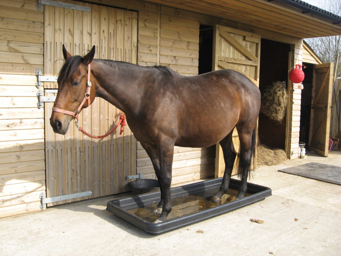 Farming Equipment in Telford Horse